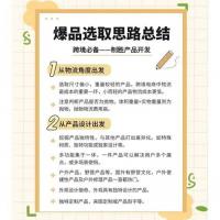 选品策略咨询