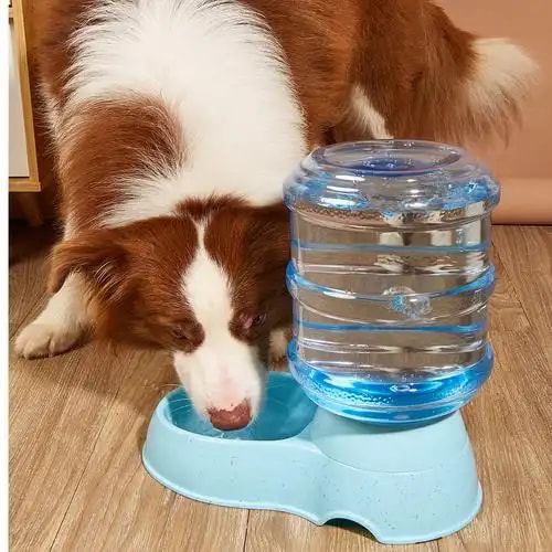 宠物饮水器