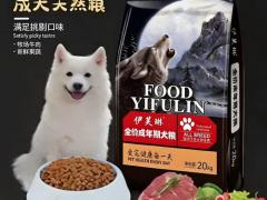 红枣桂圆茶